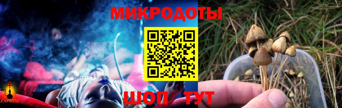 Псилоцибиновые грибы прущие грибы Дзержинский